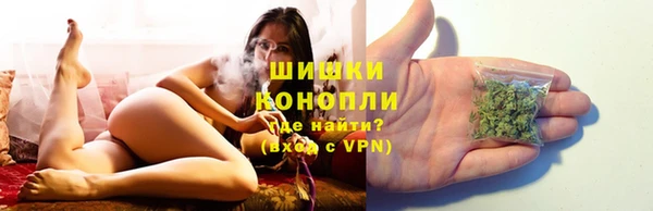 ГАЛЛЮЦИНОГЕННЫЕ ГРИБЫ Киренск