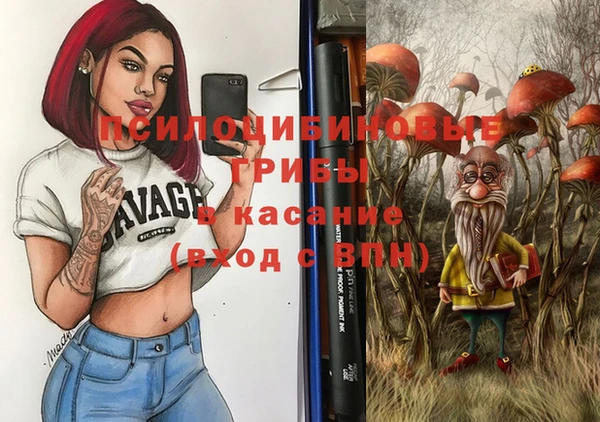 ГАЛЛЮЦИНОГЕННЫЕ ГРИБЫ Киренск